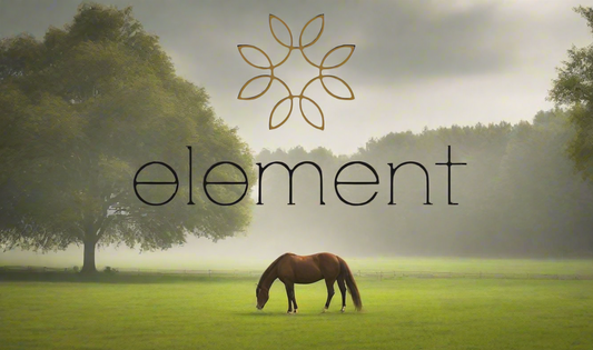 How CBD helps horses with arthritis and stiff joints.