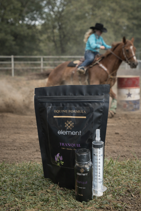 How does CBD differ from Acepromazine when used to treat anxiety in horses?