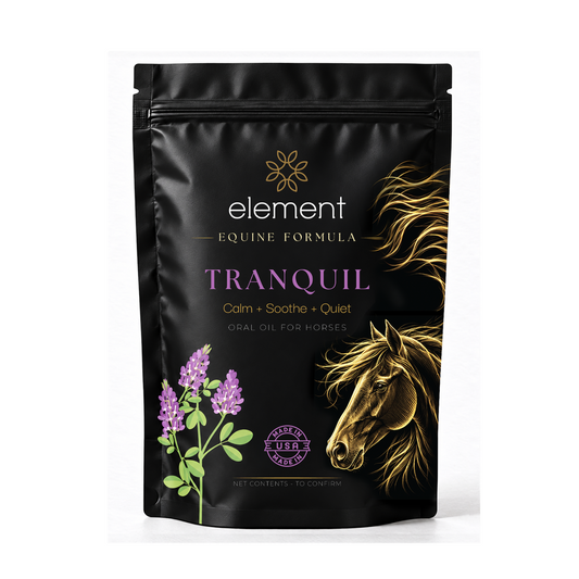 Tranquil Equine